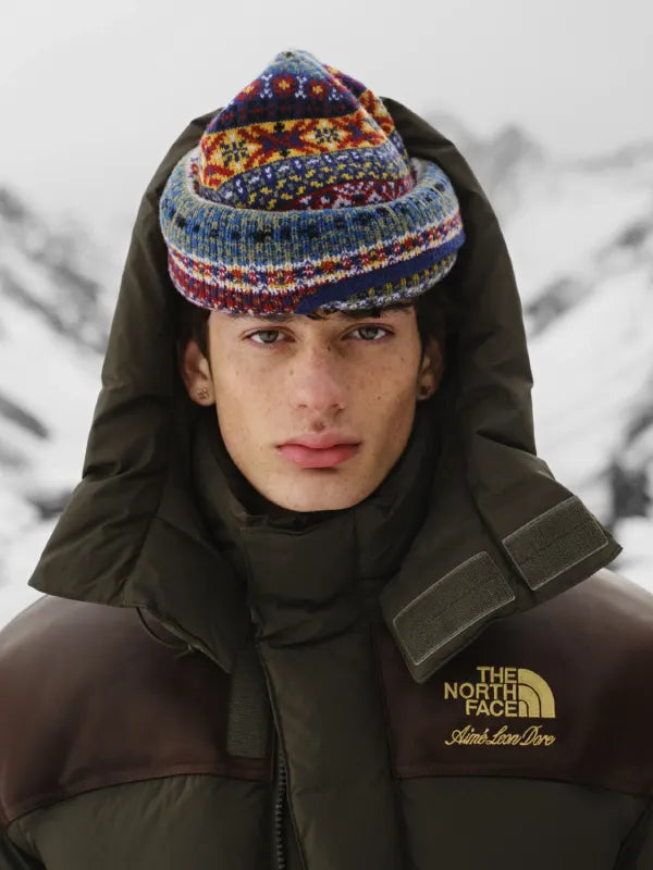 The North Face ALD Baltoro Jacket